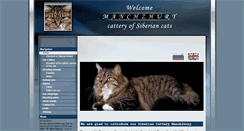 Desktop Screenshot of en.manchzhury.ru