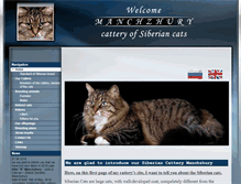 Tablet Screenshot of en.manchzhury.ru