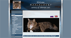 Desktop Screenshot of manchzhury.ru