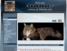 Tablet Screenshot of manchzhury.ru